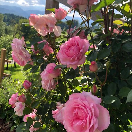 Apartma Rosa Spodnji Otok Εξωτερικό φωτογραφία