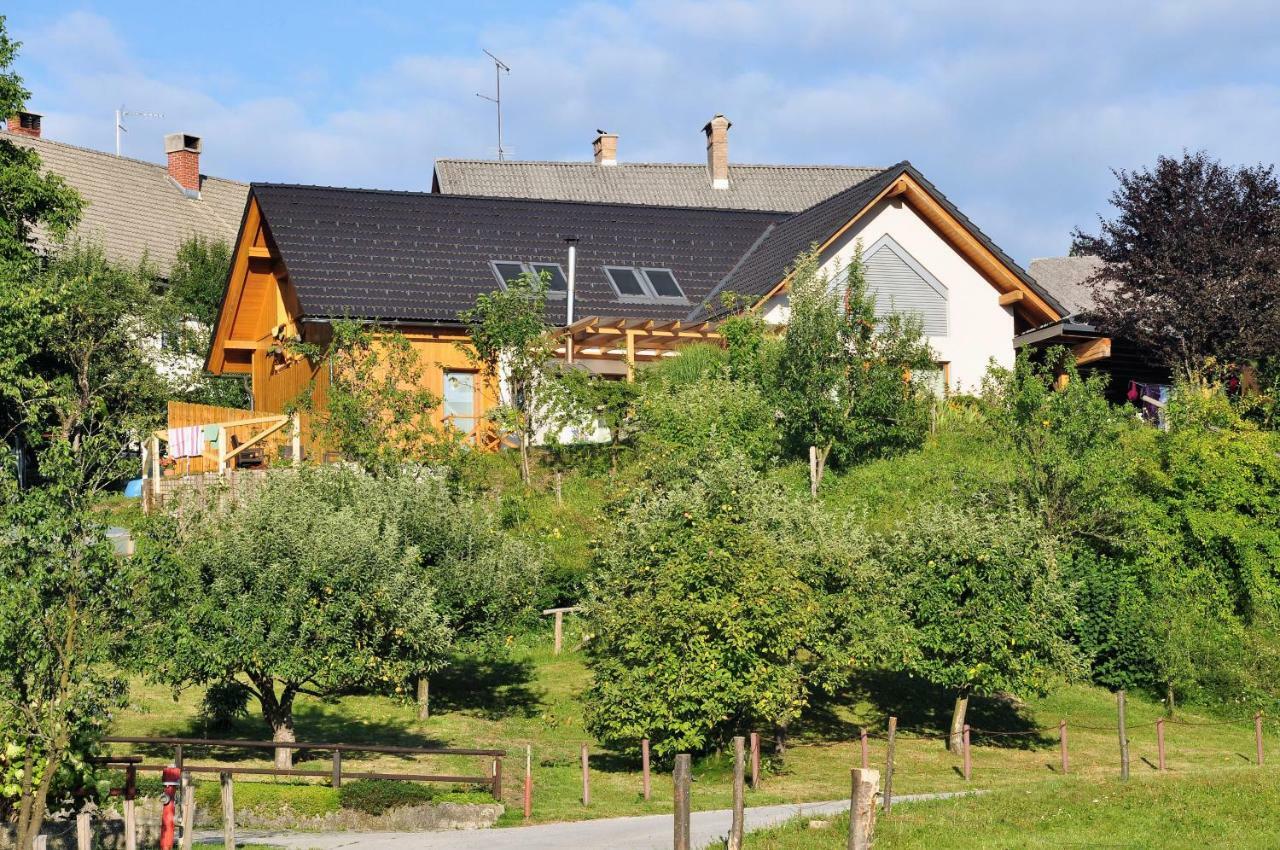 Apartma Rosa Spodnji Otok Εξωτερικό φωτογραφία